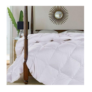 2022 Mới Nhất Mùa Đông Chất Lượng Hàng Đầu Tùy Chỉnh Logo Đồng Bằng Trắng Comforter Trong Nhà Máy OEM Thiết Kế Trên Bán - Product Image 3