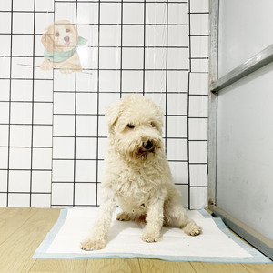 Gran oferta, 60x60, 60x90, almohadillas impermeables para cachorros, alfombrillas absorbentes desechables de <span class=keywords><strong>Walmart</strong></span>, almohadillas para perros de secado rápido, almohadillas para mascotas al por mayor - Product Image 4