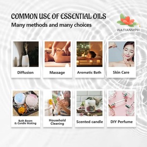 Fournisseur de confiance Vente en gros d'huile de pistache biologique Pressée à froid de qualité supérieure à grande échelle Approvisionnement en vrac Prêt à l'exportation Sain - Product Image 4