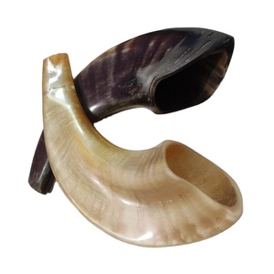 Z Crafts' 100% Natural Pulido Ram Horn Shofar Tamaño pequeño Estilo náutico inspirado en animales Precio - Product Image 1