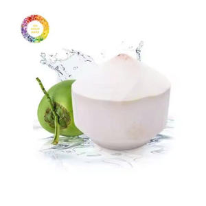 Natural dulce fresco joven Coco Vietnam exportación diamante forma pulida superficie 0,7-1,2 kg para proveedor mayorista - Product Image 2