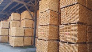 Vente en gros de bandes de bois de chêne de qualité originale française européenne 8-10cm pour sols, menuiseries, meubles - Product Image 4