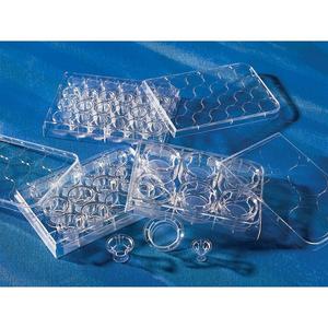 Sterile 6.5mm Transwell with 0.4um Pore Polyester Membrane Insert Laboratory Supplies - Product Image 1