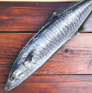 Tropas romanas, el mejor pescado vidente indio, mariscos congelados con 24 meses de vida útil - Product Image 2