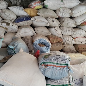 Polvo de Hueso Orgánico Premium Tradebyd, Material Decorativo Artesanal Natural Hecho a Mano, Ecológico, Estilo Animal, Regalo de Lujo, Decoración del Hogar - Product Image 6