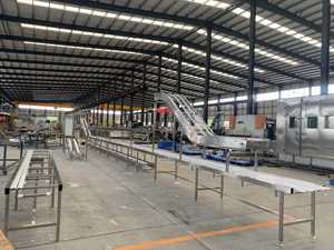 <span class=keywords><strong>Source</strong></span> usine conception professionnelle chiffre d'affaires industriel boîte convoyeur traitement de la viande ligne de convoyeur à bande - Product Image 5