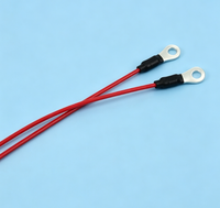 Cable de Carga Alternativo HB451748 HIT para HIT Cij, Repuestos