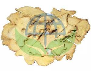 Jengibre Fresco Orgánico de la Mejor Calidad con Ricos Antioxidantes para Salsas y Té de Hierbas, Productos de Bienestar - HP Valia - Product Image 6