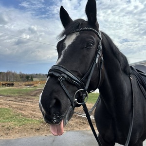 บังเหียนหนังแท้สำหรับแข่งม้าผลิตภัณฑ์สำหรับขี่ม้าทนทาน - Product Image 2