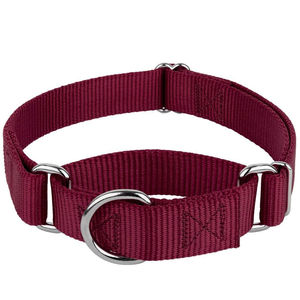 Collier pour chien réglable en nylon durable 2025 avec boucle métallique à dégagement rapide et anneau en D, écologique, personnalisable, service OEM - Product Image 2