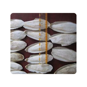 VENTA RÁPIDA Hueso de sepia para pájaros pequeños que proporcionan calcio y desgaste del pico. - Product Image 2