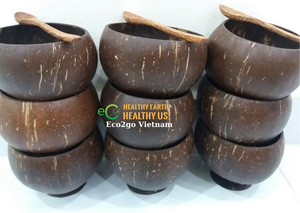 Taza de coco hecha a mano ecológica/tazas de coco naturales/taza de Coco para bebidas hechas en Vietnam - Product Image 2