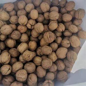 Nueces secas al por mayor con estilo Natural dulce, venta al por mayor - Product Image 6