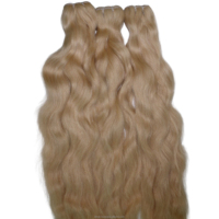 Rehaussez Votre Beauté Sans Effort : Cheveux Vierges Premium 100% Blonds Bouclés pour Extensions - Double Trame Faite à la Machine Naturelle