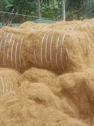 ก้อนมะพร้าวสีขาวผลิตภัณฑ์ทางการเกษตรที่จำเป็นสำหรับการบรรลุความยิ่งใหญ่ในสวน - Product Image 6