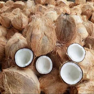 <b>Fresh</b> Quality Dehusked <b>Coconuts</b> For Sale - Product Image 1