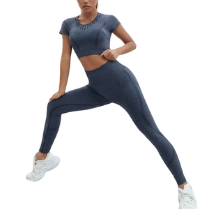 Yoga Suit Active Wear 2-Piece Set Spandex Nylon Elastic Waist Women Gym Sportswear Summer Fitness Yoga Sets Custom Size - Product Image 1