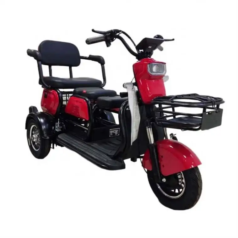 Factory Tricycle Adult Passenger Seat Design Decoration Disabled Electric Motorcycle