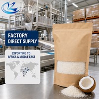 Noix de coco râpée de qualité alimentaire, riche en matières grasses (60-65%), pour biscuits, gâteaux, chocolat et pâtisseries