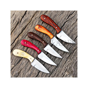 Assortment of Outdoor Camping Hunting Fishing Skinner <b>Knives</b> Stainless Steel Wood and Bone Handle Survival Fixed Blade <b>Knife</b> - Product Image 1