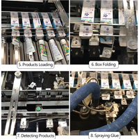 Machine d'emballage horizontale automatique sur mesure pour petits cartons en papier, idéale pour les sachets de poudre de café