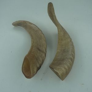 ทำด้วยมือธรรมชาติแกะและแกะฮอร์นตกแต่งชิ้นงานสไตล์สัตว์ขัดเงา - Product Image 5