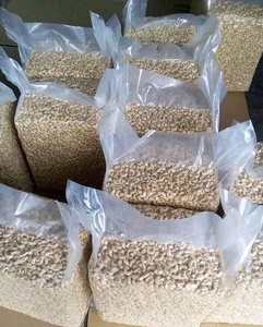 Noix de cajou entières blanches WW320, WW180 et WW240 |   Norme d'EXPORTATION - Product Image 3