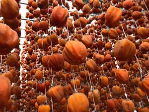 Fruta Seca, Caqui Entero Deshidratado, Caqui Seco Colgante de Alta Calidad Natural - Todo Tipo de Frutas Secas - Product Image 2