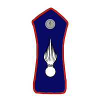 EPAULETTES TREFLE GENDARMERIE GRANDE TENUE - PERSONNEL Couleur bleue personnalisée avec motif de broderie