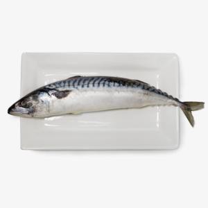 Caballa del Pacífico japonesa congelada Scomber Japonicus 15Kg Ctn Pescado Todos los proveedores Venta al por mayor Pescado Caballa del Pacífico congelada Exportadores - Product Image 3