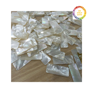 Fournisseur en gros de coquillages, de mosaïques en nacre polie - Product Image 5