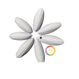 Hueso de sepia seco a granel para alimentación animal Alto contenido de calcio, ideal para la nutrición del ganado - Product Image 3