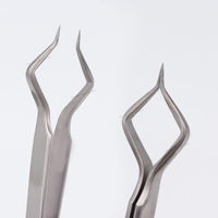 Pince à épiler professionnelle en acier inoxydable de qualité chirurgicale, logo personnalisé, pointe lisse, longueur 10 mm, pointe précise et durable pour cils