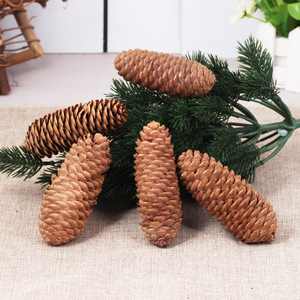 Pinecones ตกแต่งแบบชนบทและออร์แกนิกที่สมบูรณ์แบบสำหรับงานหัตถกรรมวันหยุดเครื่องประดับคริสต์มาสและการตกแต่งบ้านตามธรรมชาติ - Product Image 5