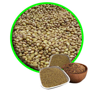 Berseem Clover | Demanda anual en cadenas de suministro de piensos - Product Image 6