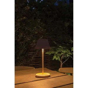 Rechargeable Pure Glow <b>Lamp</b> for Sustainable Camping Lighting Eco-Friendly Sustainable Gadgets - Product Image 2
