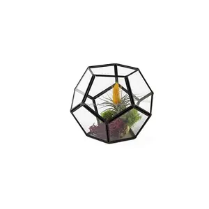 Terrarium ou plantes en métal et en verre au design géométrique moderne et unique personnalisable, pour la décoration de la maison et du jardin
