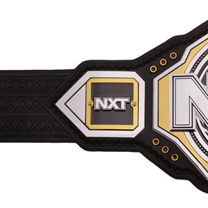 <span class=keywords><strong>Ceinture</strong></span> de champion <span class=keywords><strong>WWE</strong></span> NXT 2026, <span class=keywords><strong>réplique</strong></span> de <span class=keywords><strong>ceinture</strong></span> de championnat de lutte personnalisée, plaques métalliques noires, dorées et argentées, <span class=keywords><strong>ceinture</strong></span> de champion - Product Image 4