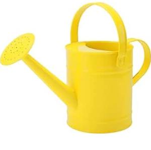 Luxury Unique Design for Watering <b>Garden</b> and Plant Ware Iron Metal Water Can For Home Hotel Restaurant <b>Garden</b> Used Water Can - Product Image 1