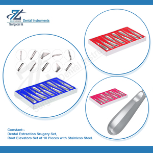 Juego de Elevadores de Raíces Manuales de 10 Piezas, Juego de Extracción y Luxación Dental, Instrumentos Dentales de Acero Inoxidable - Product Image 4