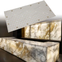 Panneau lumineux LED personnalisé 696 CCT, feuille LED réglable 24V, panneau lumineux LED CE/ROHS/ETL/UL pour signalétique/décoration architecturale