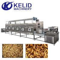 Machine de séchage au micro-ondes entièrement automatique à commande PLC pour larves d'araignées bleues (BSF), insectes et vers de farine, avec certification CE
