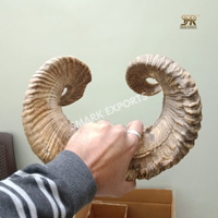 Paire de cornes de bélier naturelles, cornes de mouton spirales faites à la main, décoration murale rustique, cornes courbées authentiques pour l'artisanat et l'intérieur