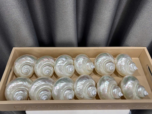 Seashell Glass para comedor Elegante diseño de concha Mejora la configuración de la Mesa Ideal para exportación y eventos - Product Image 4