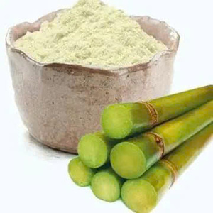 JUS DE CANNE À SUCRE LYOPHILISÉ EN POUDRE/NATUREL/NON-GMO/INGRÉDIENT ALIMENTAIRE ET BOISSON DE QUALITÉ SUPÉRIEURE - Product Image 5