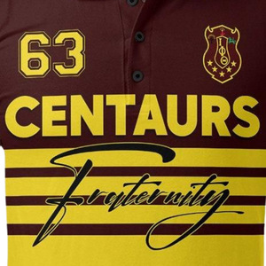 Polo Iota Phi Theta Ivy League 1963 pour homme, fraternité grecque, broderie en coton - Product Image 3
