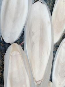 ราคาถูกแห้งปลาหมึกกระดูกปลาหมึกสำหรับสัตว์นกแก้วเต่ากินดอกบัวสีฟ้าอมิเลีย + 84855014447 - Product Image 6