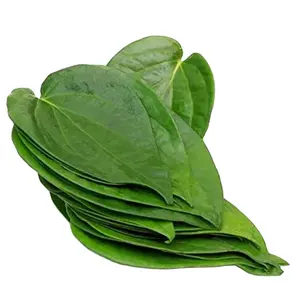 SALE SALE! FRESH BETEL WITH 100% NATURAL AND GOOD PRICE FOR SALE {BEST SELLER OF MONTH} HIGH QUALITY A==