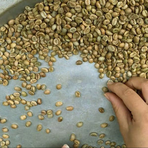 Café Arábica Orgánico de Vietnam, Certificado ISO 22000, Tamaño 18, Grado Superior, Solo 0.1% de Granos Negros o Rotos, Exportación Directa - Product Image 1