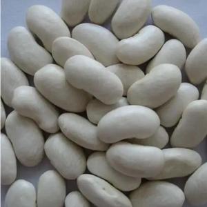 Frijoles Blancos Secos Naturales, 100% Proteína Natural Pura, Paquete a Granel, Nueva Cosecha - Product Image 1